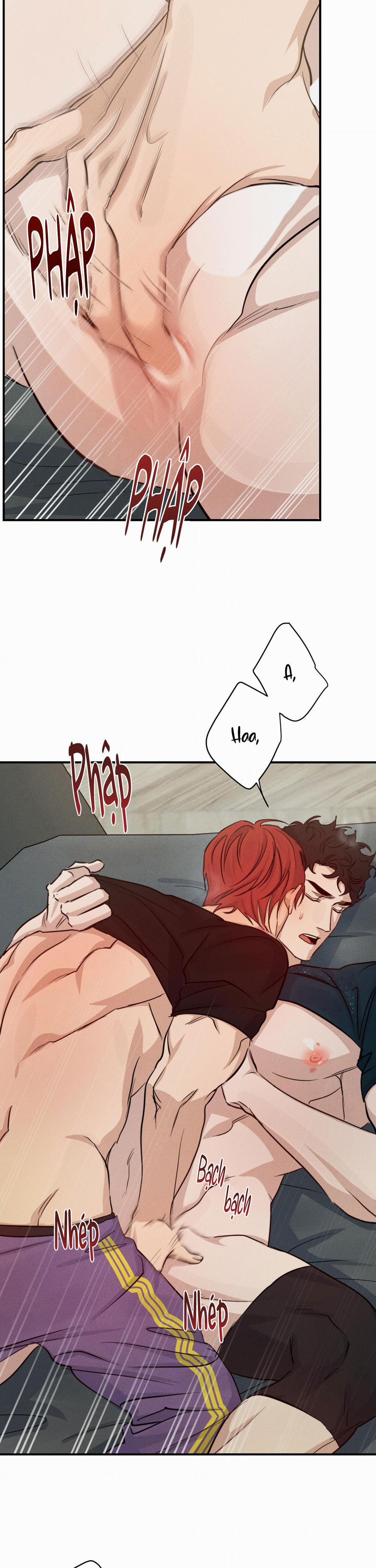 High Clear 38 trang 14