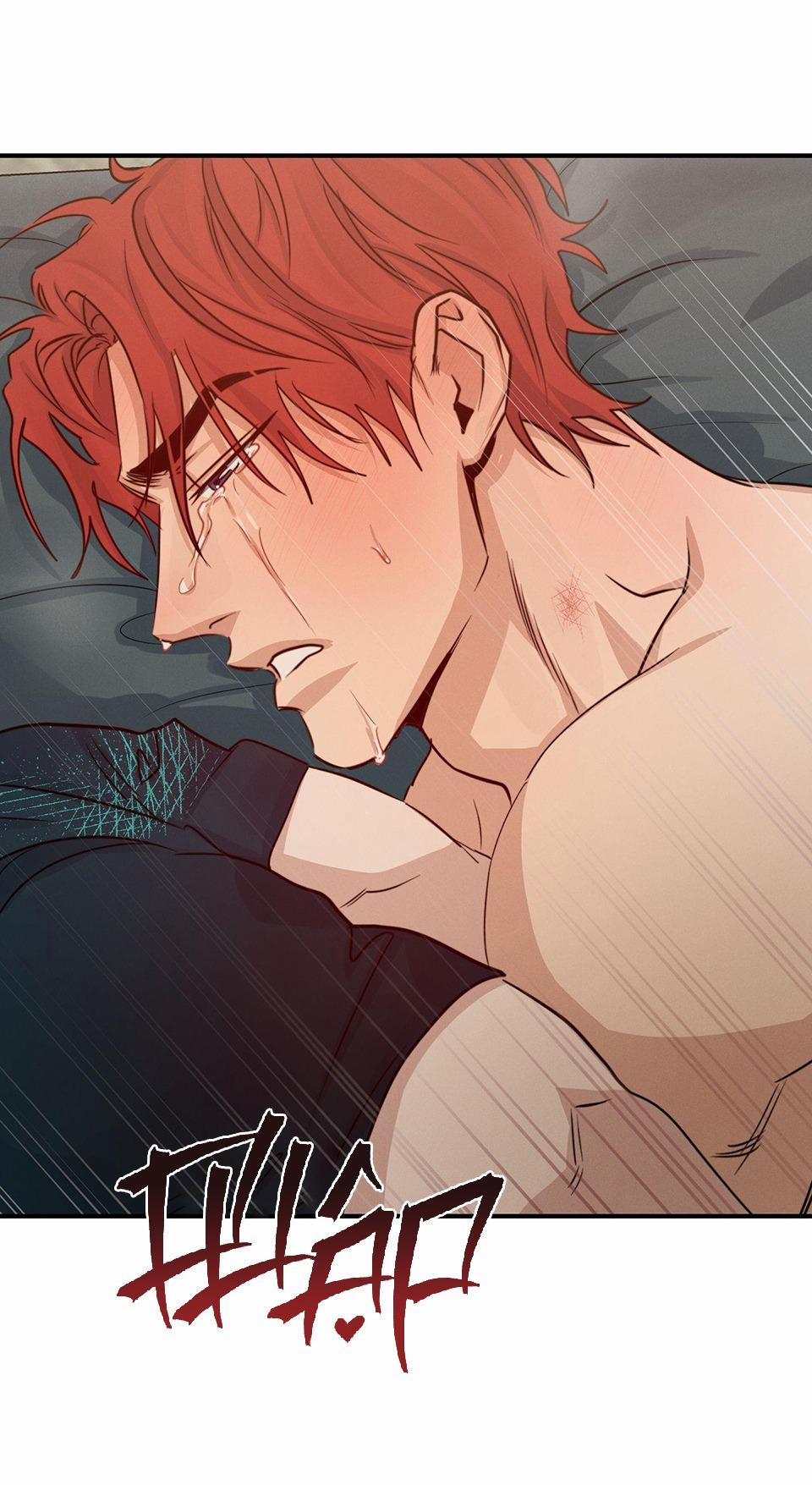 High Clear 40 trang 13