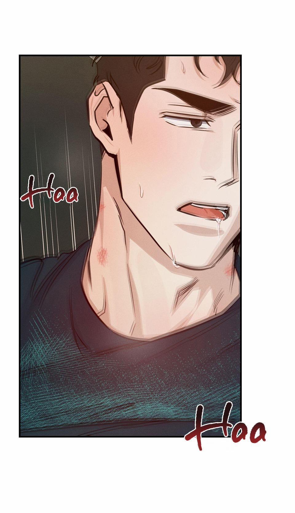 High Clear 40 trang 7