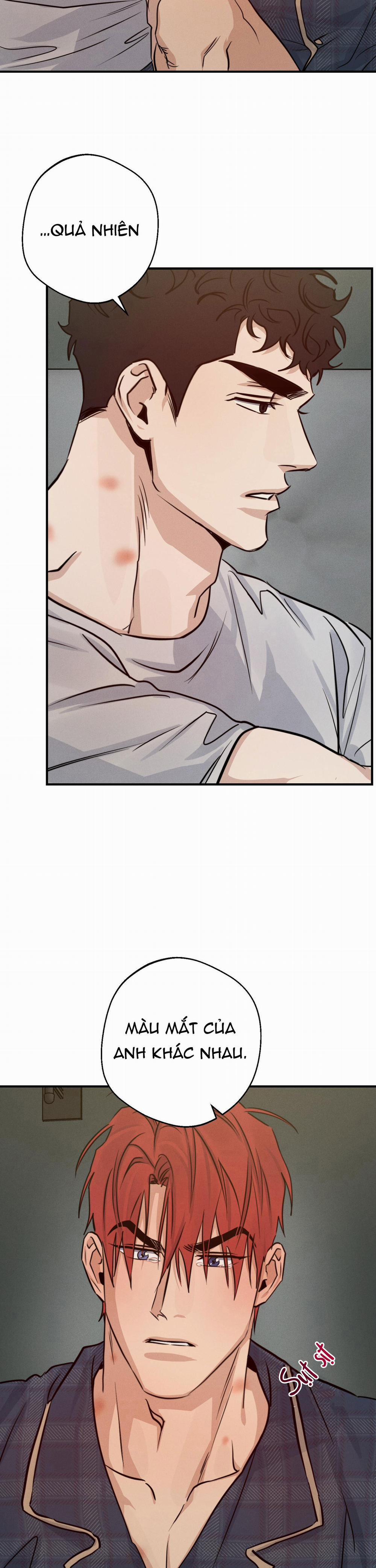 High Clear 41 trang 20