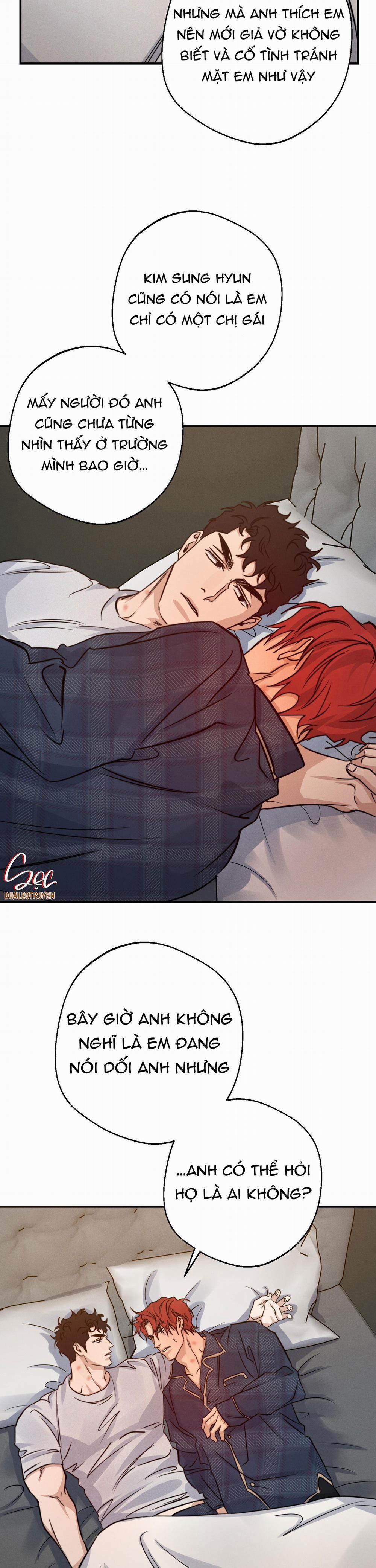 High Clear 41 trang 4