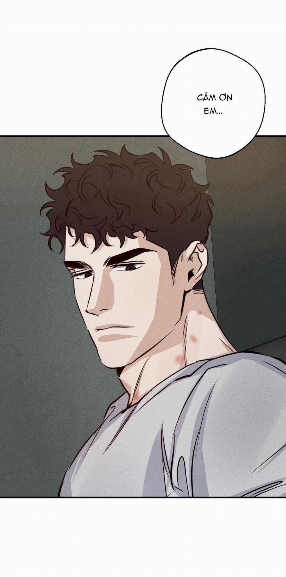 High Clear 43 trang 11