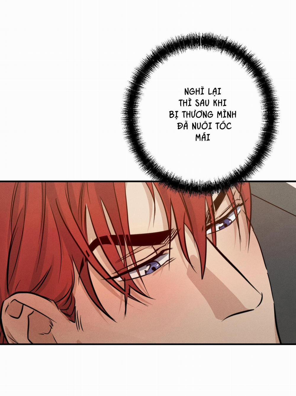 High Clear 43 trang 14