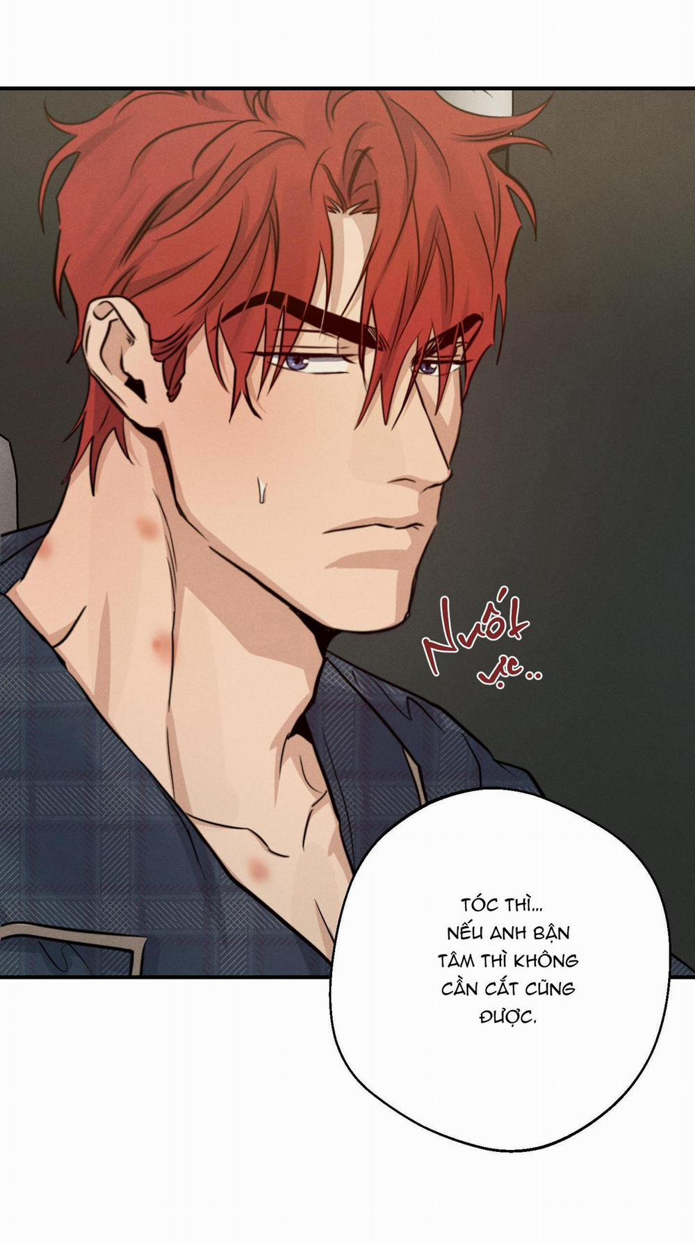 High Clear 43 trang 17