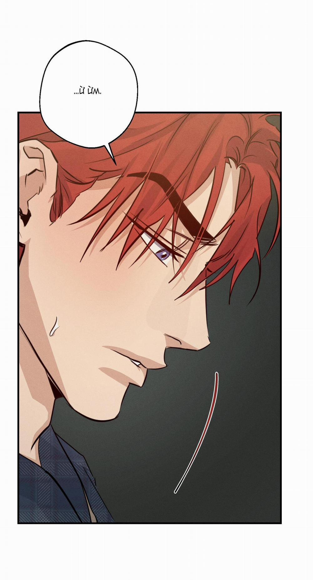 High Clear 43 trang 18