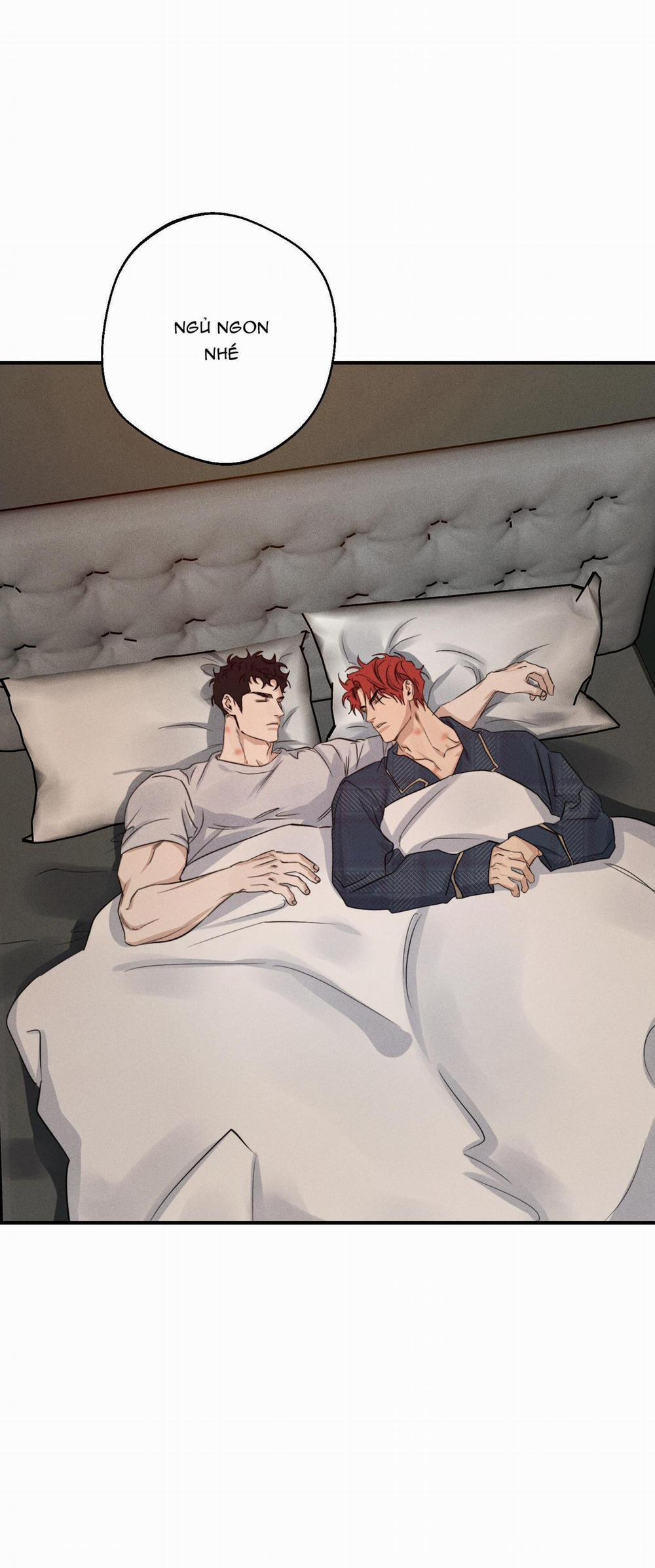 High Clear 43 trang 22