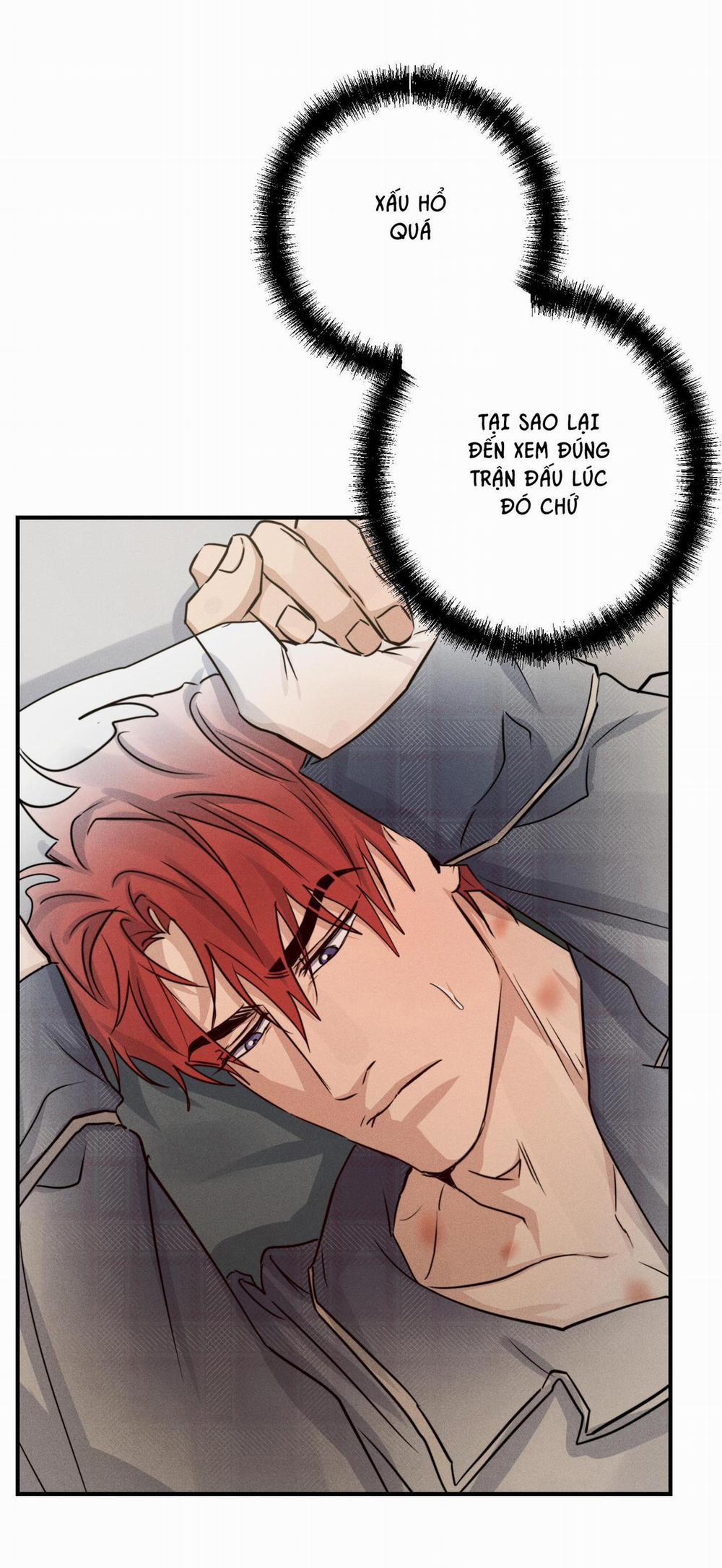 High Clear 43 trang 5