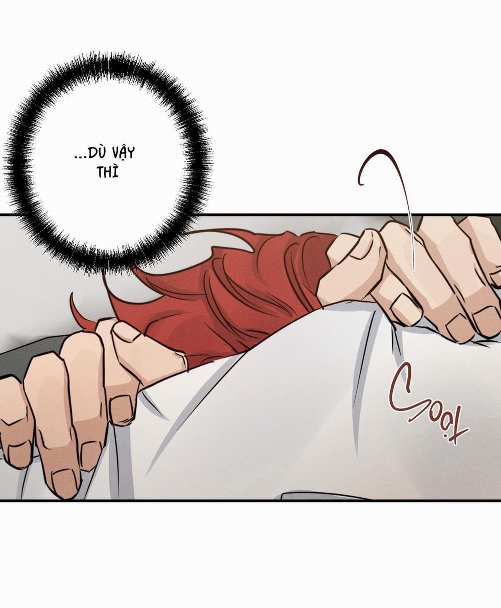 High Clear 43 trang 6