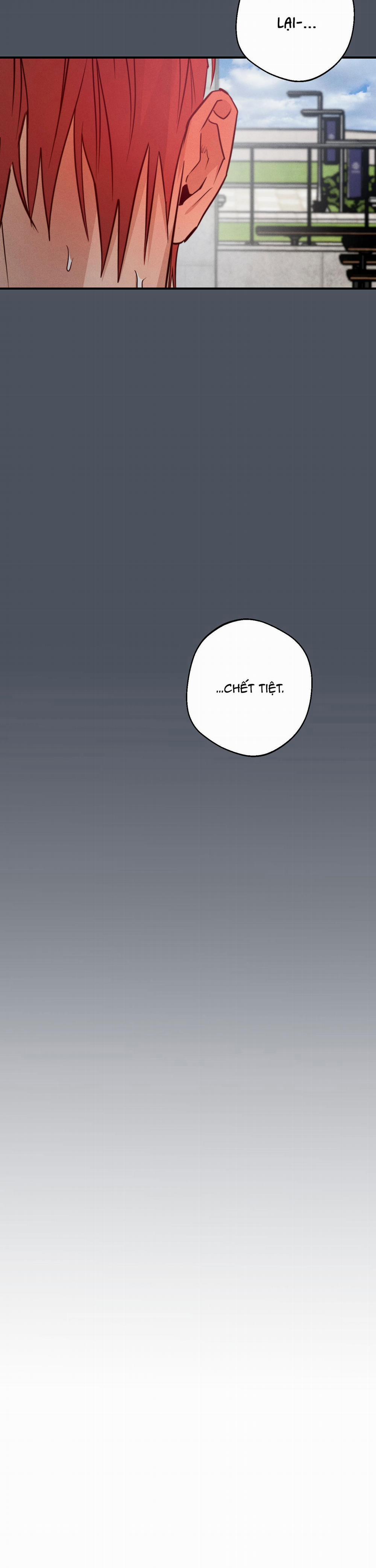 High Clear 45 trang 11