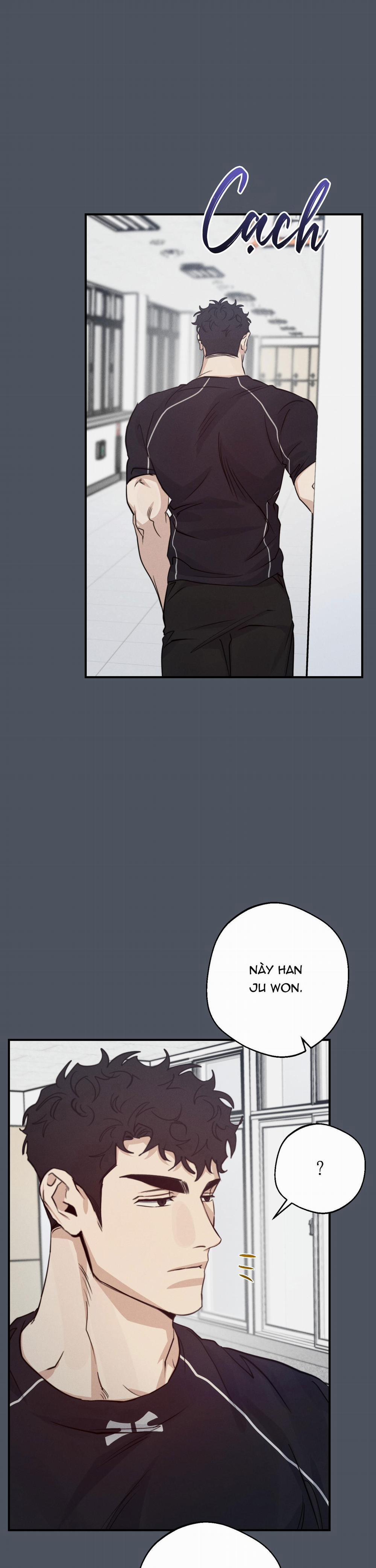 High Clear 45 trang 5