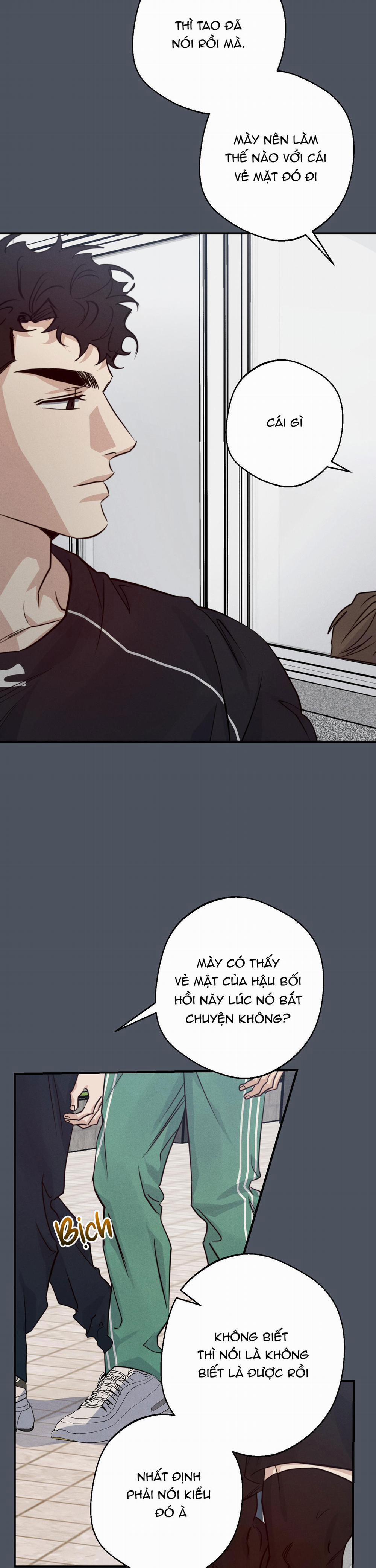 High Clear 45 trang 6