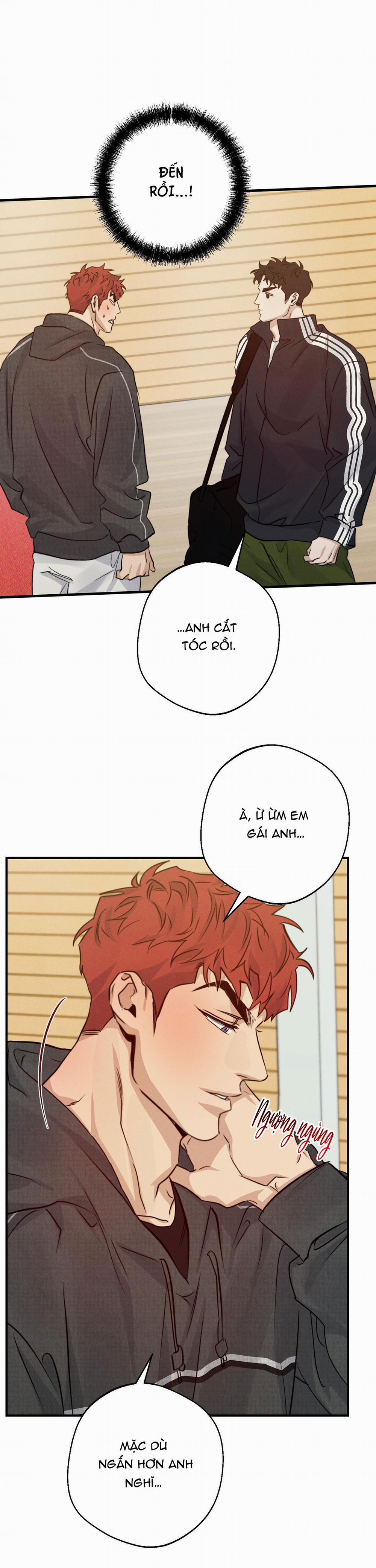 High Clear 46 trang 21