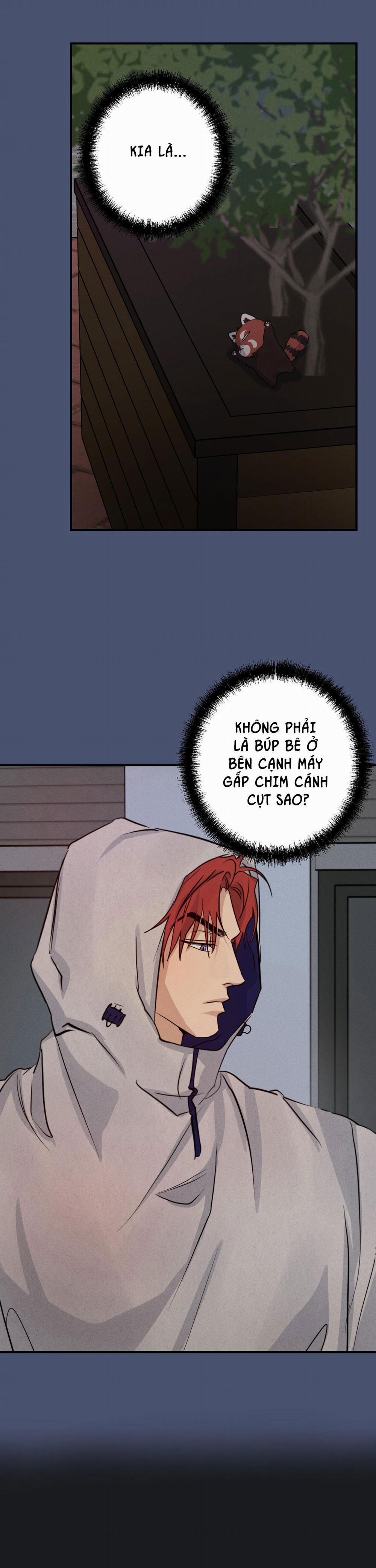 High Clear 46 trang 4