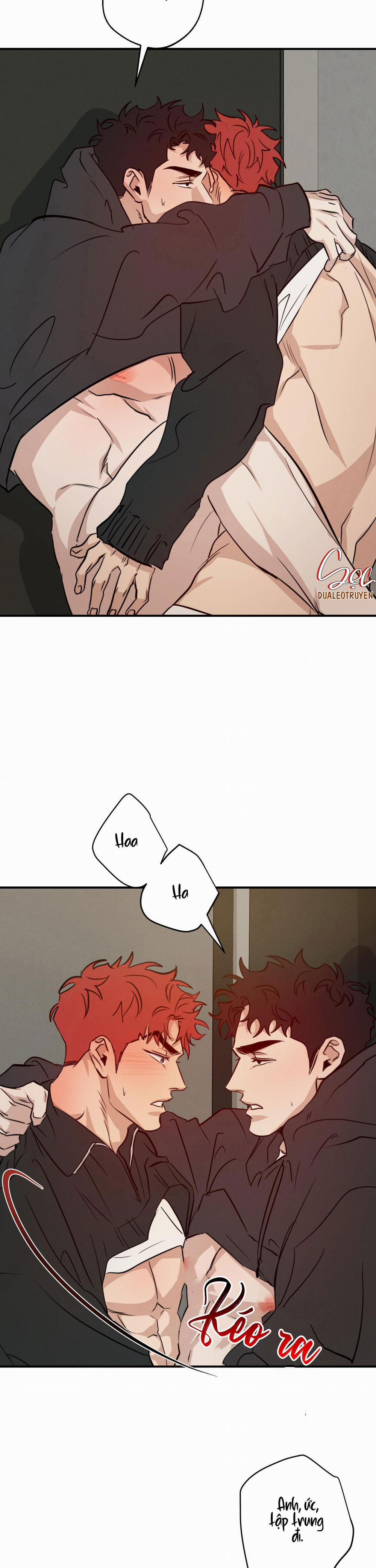 High Clear 48 trang 5