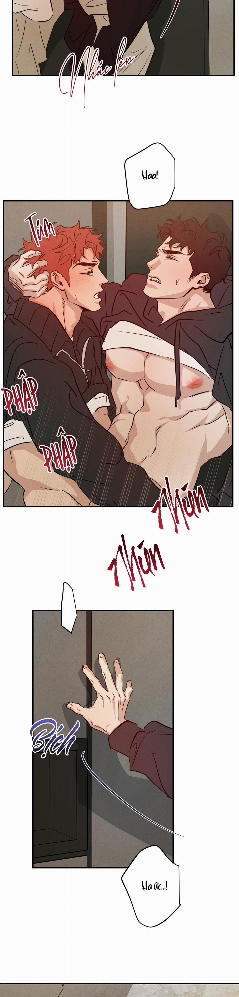 High Clear 48 trang 7