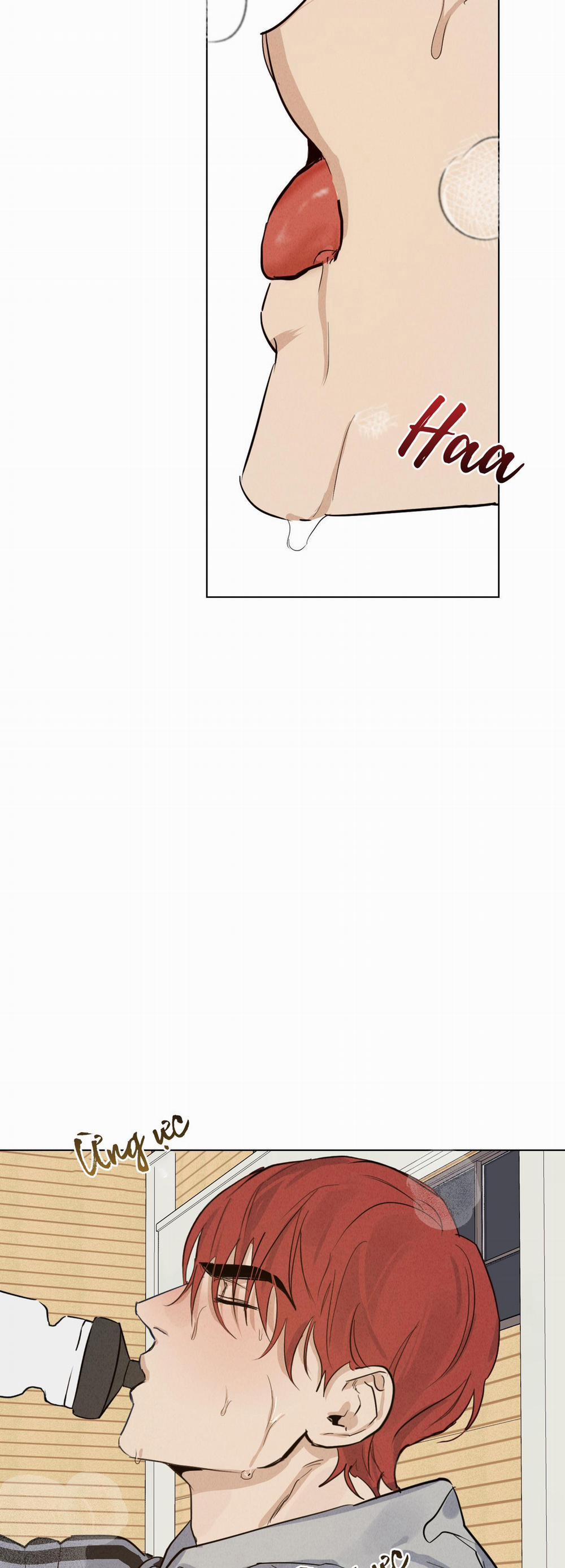 High Clear 6 trang 1