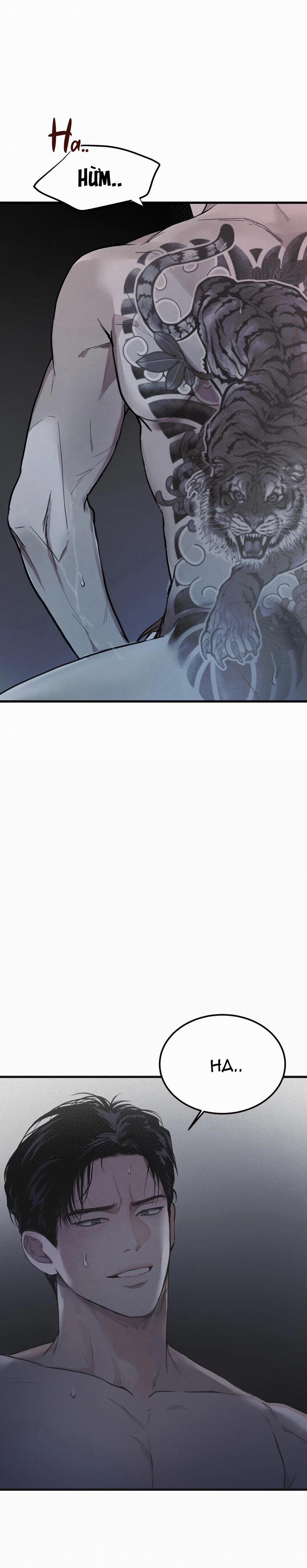 Hình Chiếu 1 trang 3