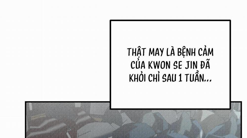 Hình Chiếu 21 trang 6