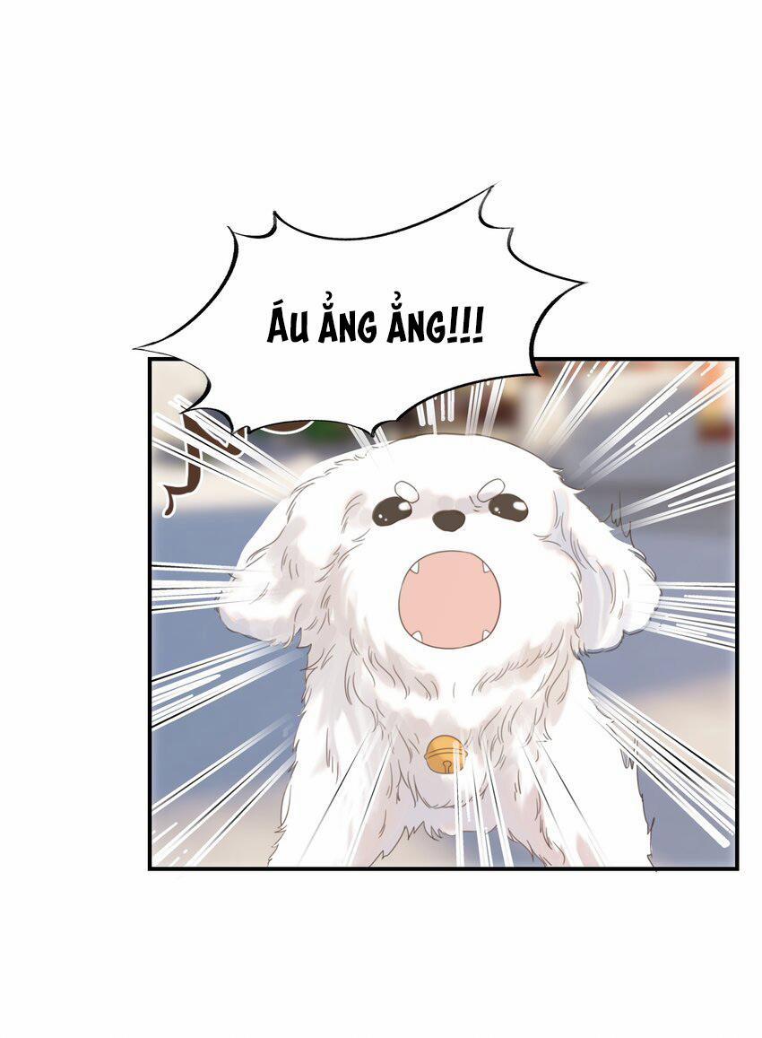 Hình Như Cầm Nhầm Kịch Bản Của Nữ Chính Rồi! (END) 65 trang 44