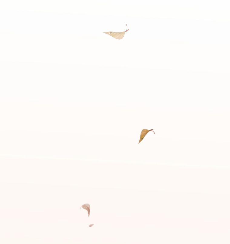 Hình Như Lấy Nhầm Kịch Bản Nữ Chủ 48 trang 7