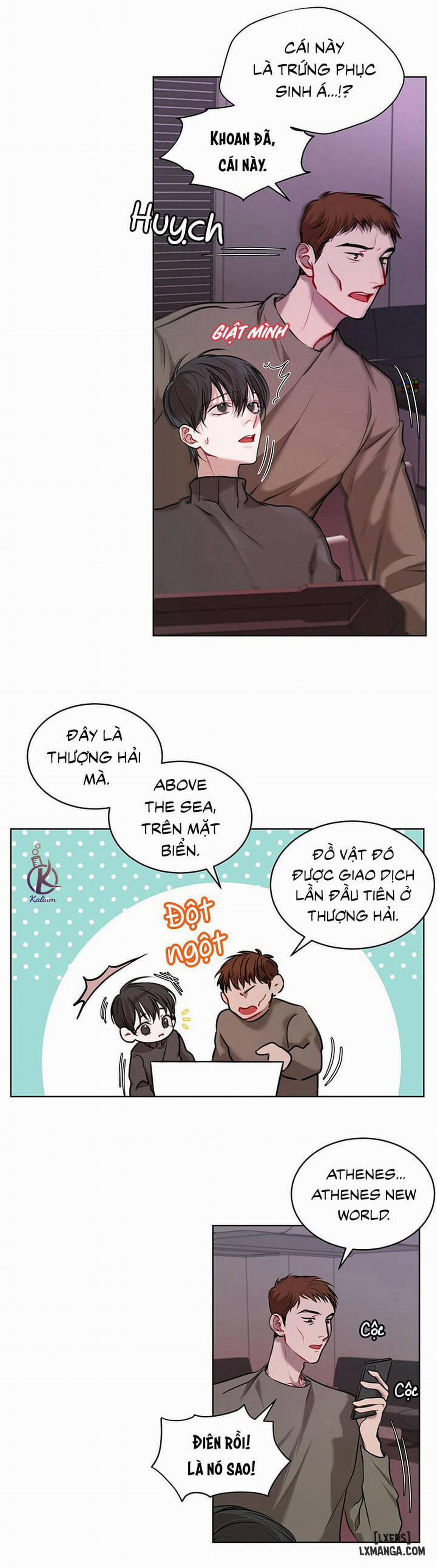 Hình thái khởi sinh 10 trang 8