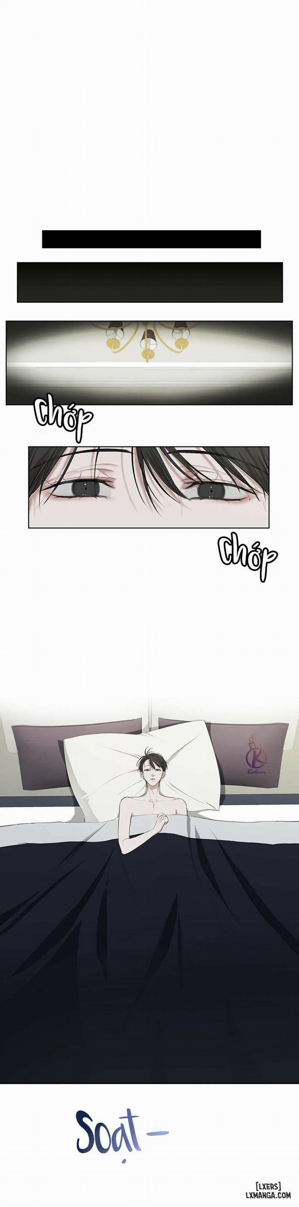 Hình thái khởi sinh 12 trang 0