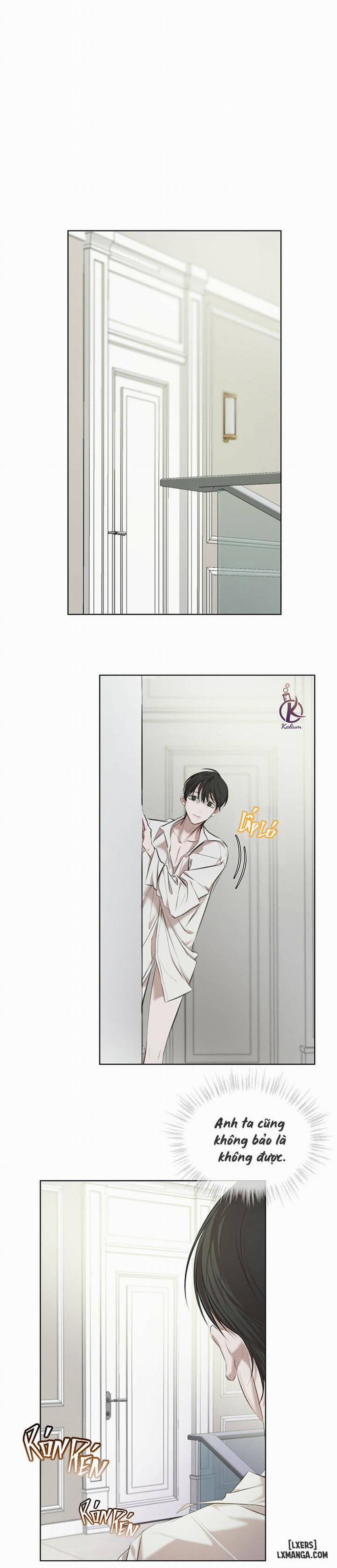 Hình thái khởi sinh 12 trang 3