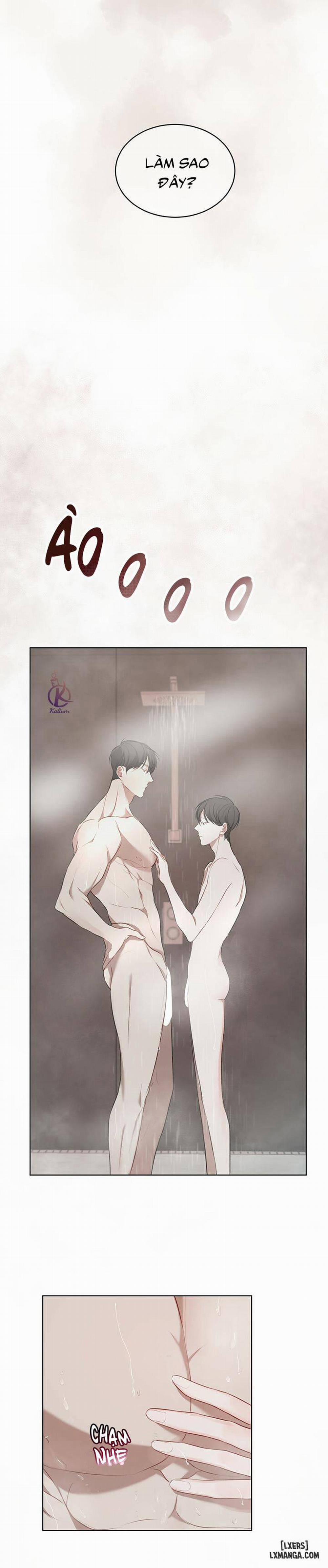 Hình thái khởi sinh 12 trang 7