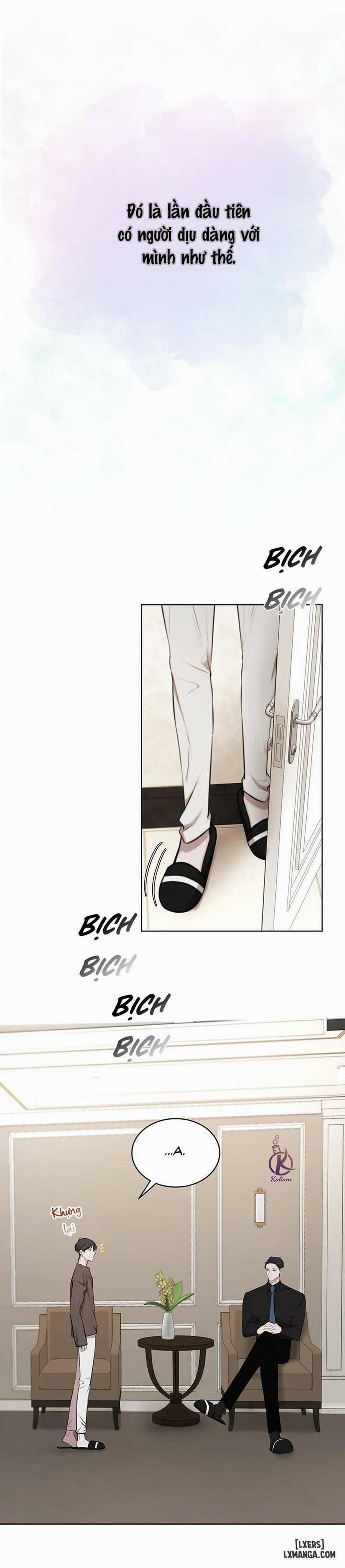 Hình thái khởi sinh 13 trang 1