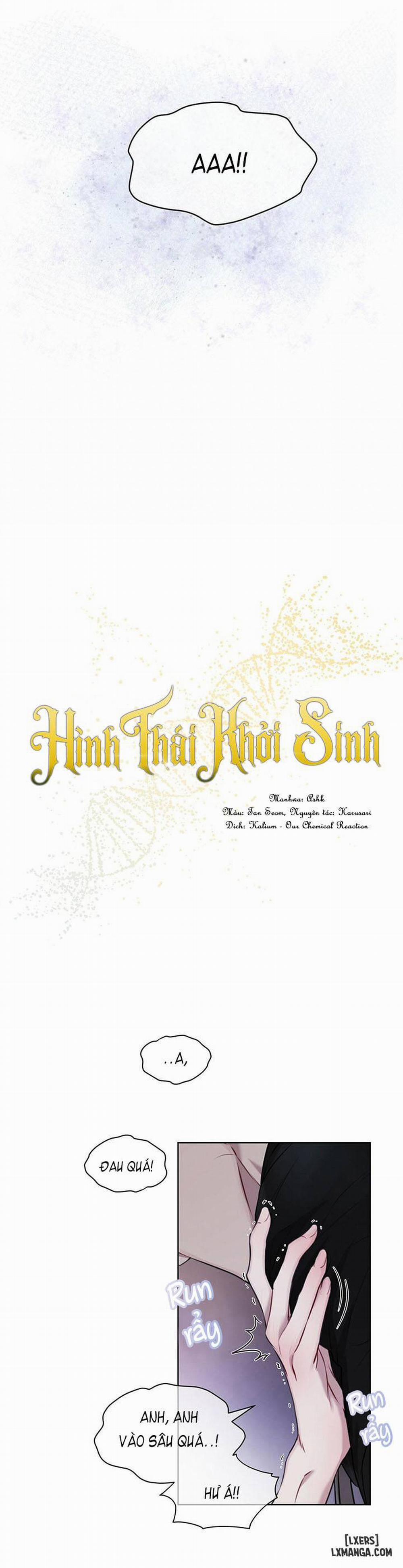 Hình thái khởi sinh 15 trang 4