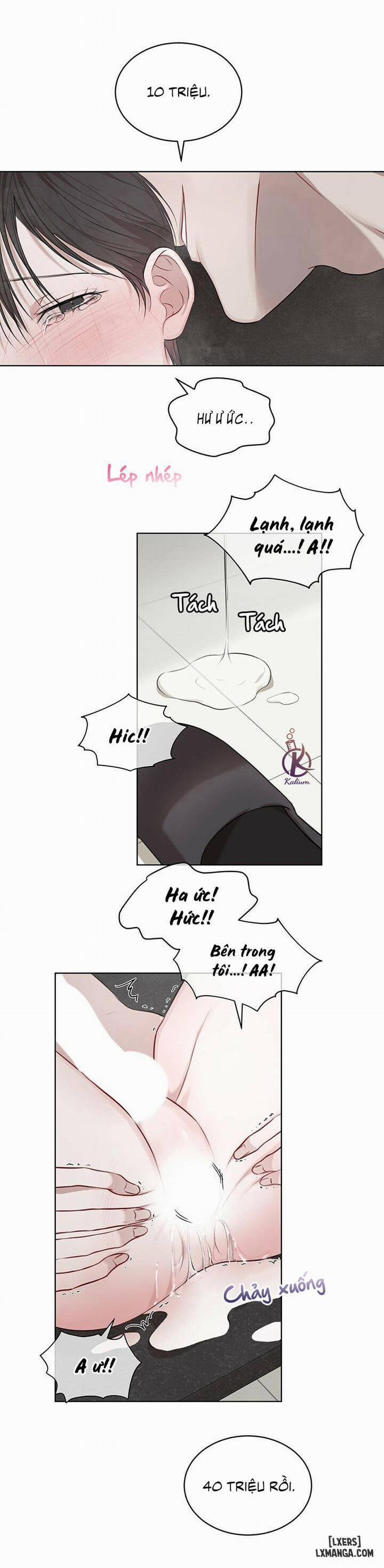 Hình thái khởi sinh 18 trang 14