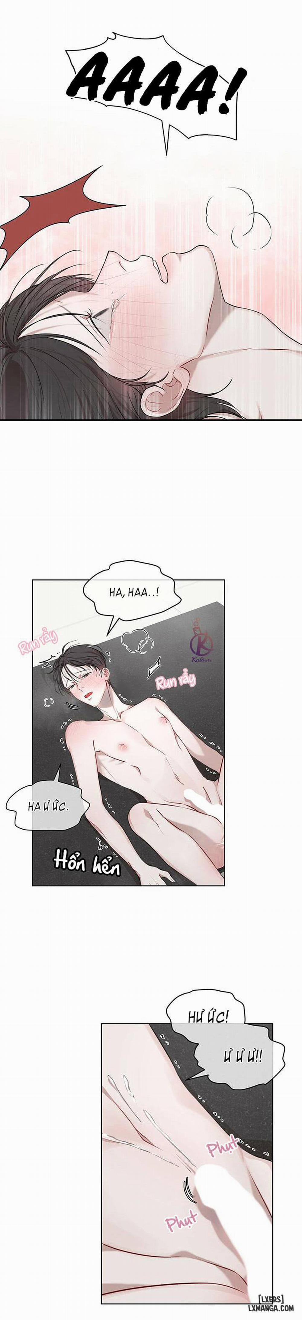 Hình thái khởi sinh 18 trang 15