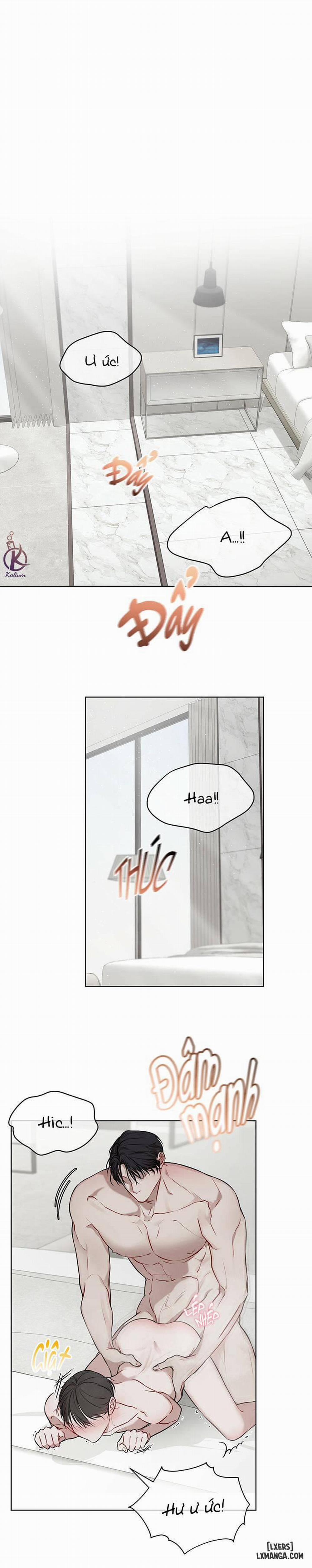 Hình thái khởi sinh 19 trang 0