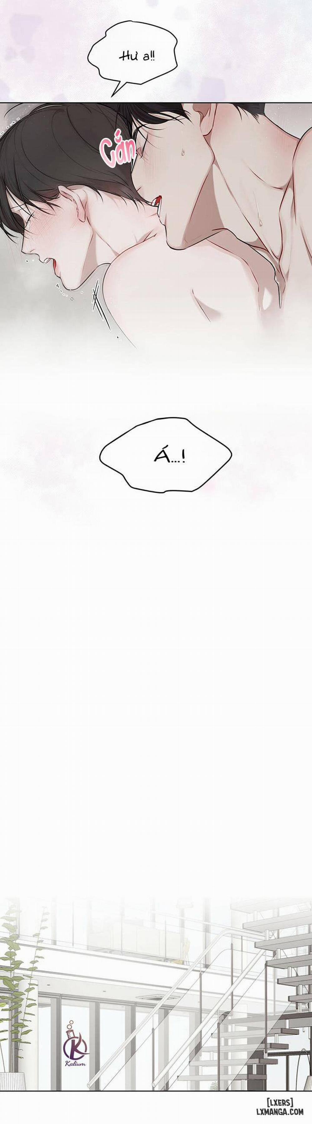 Hình thái khởi sinh 19 trang 11