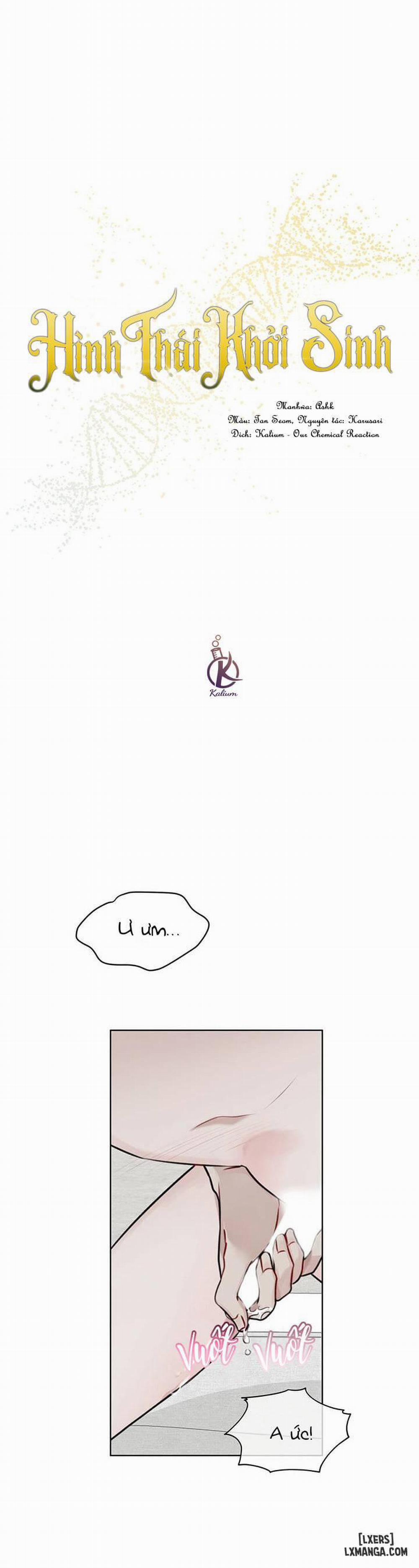 Hình thái khởi sinh 19 trang 2