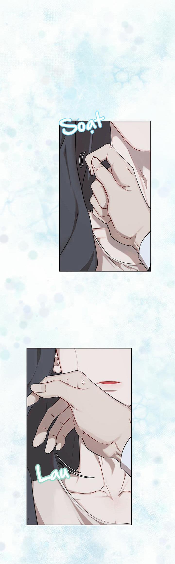 Hình thái khởi sinh 20.5 trang 14