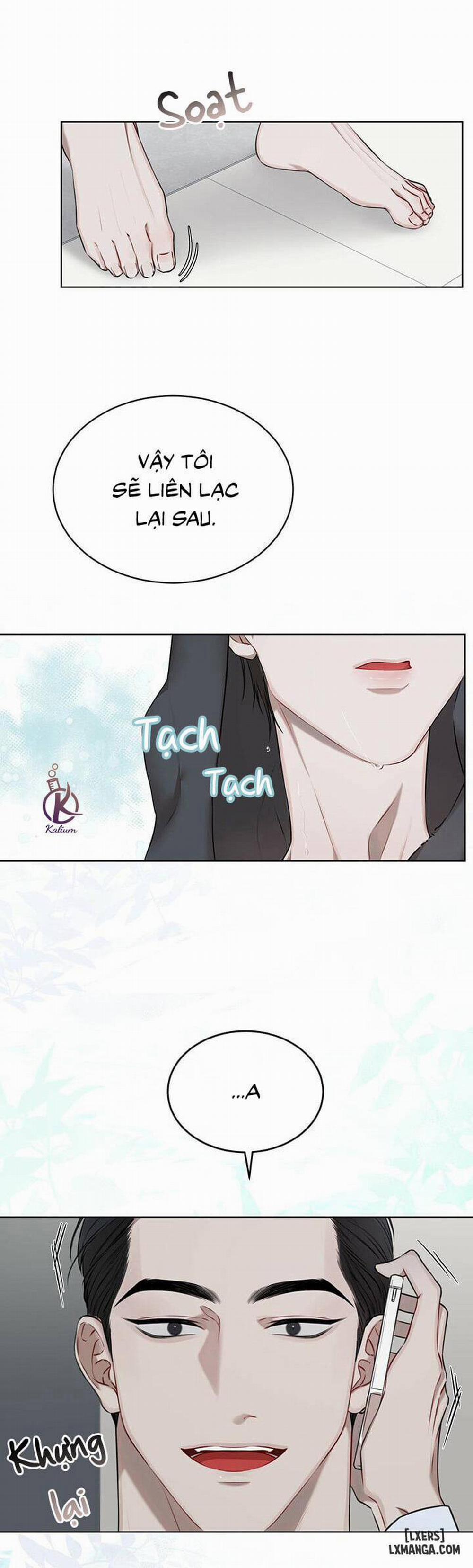 Hình thái khởi sinh 20 trang 26