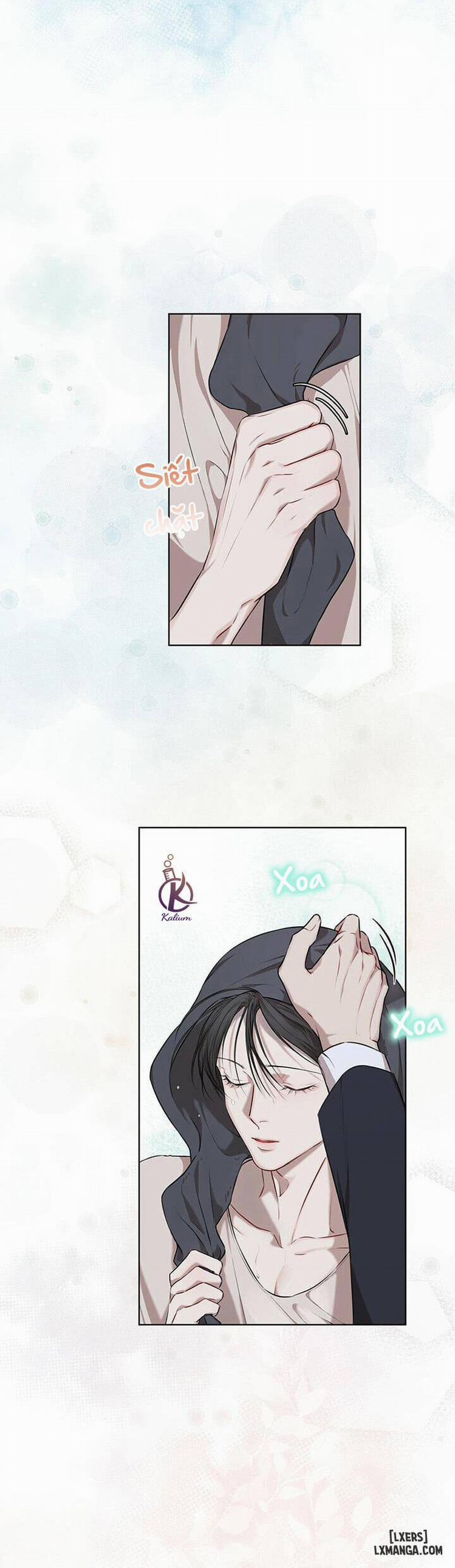 Hình thái khởi sinh 20 trang 32