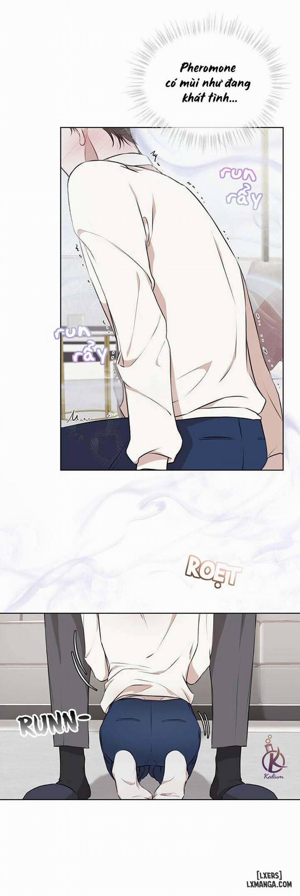 Hình thái khởi sinh 21 trang 11