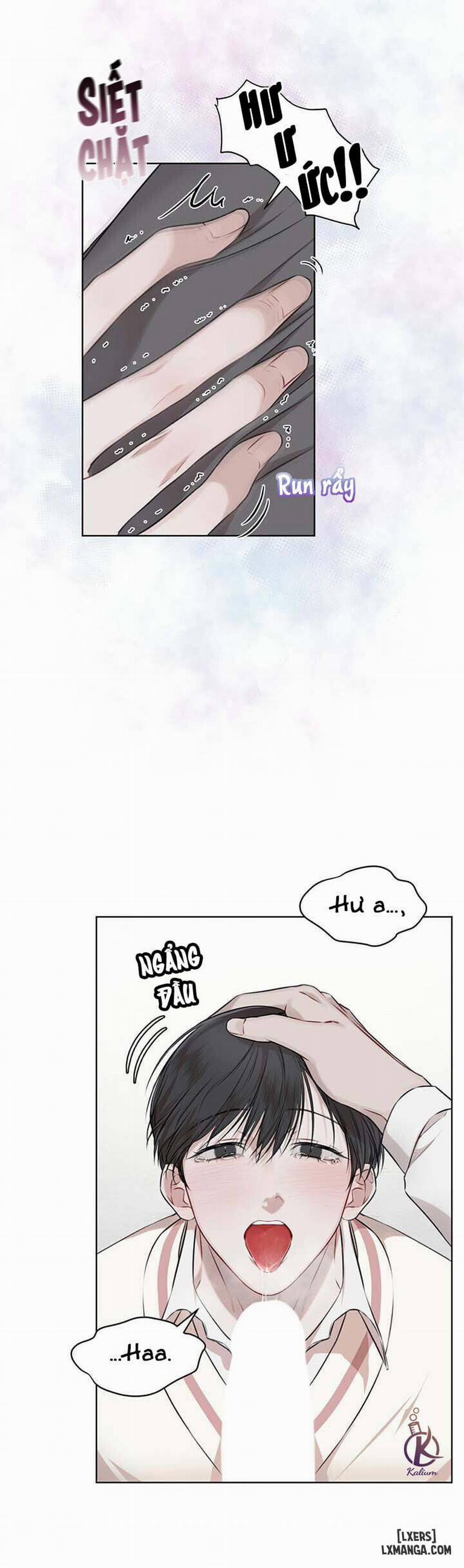 Hình thái khởi sinh 21 trang 15