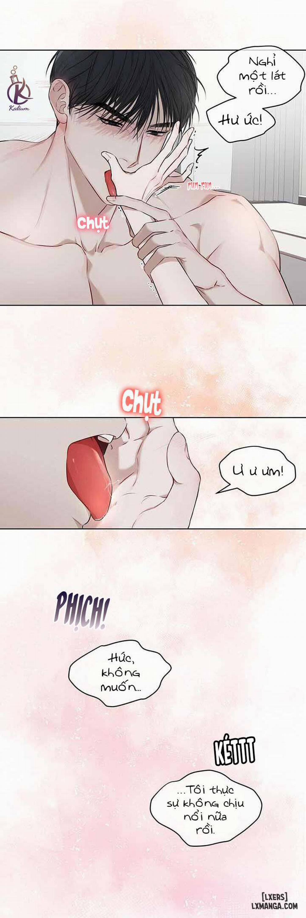 Hình thái khởi sinh 22 trang 15