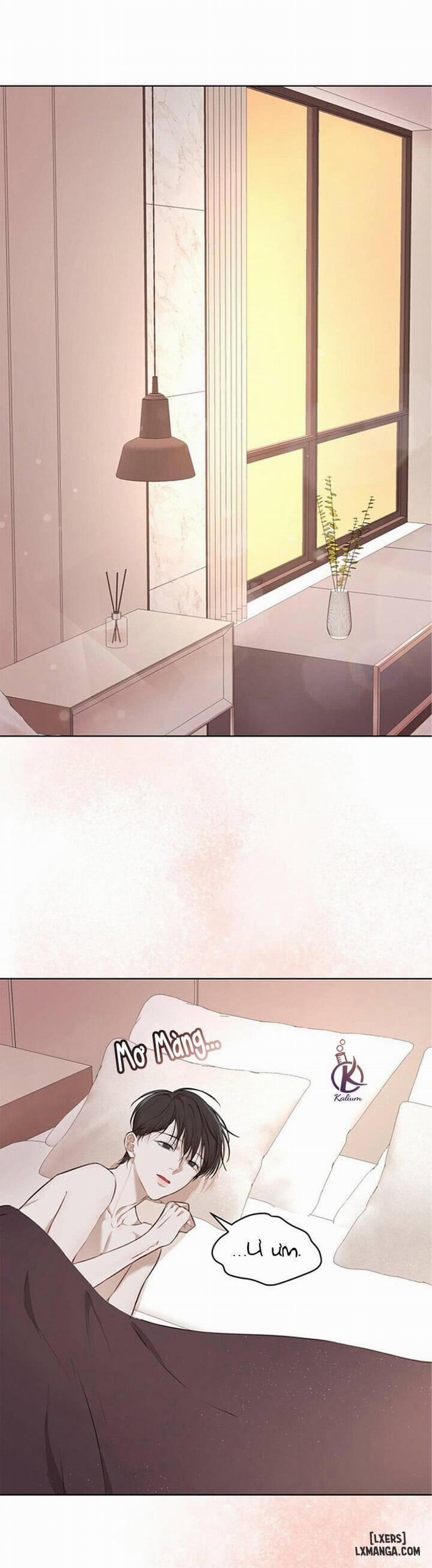 Hình thái khởi sinh 23 trang 0