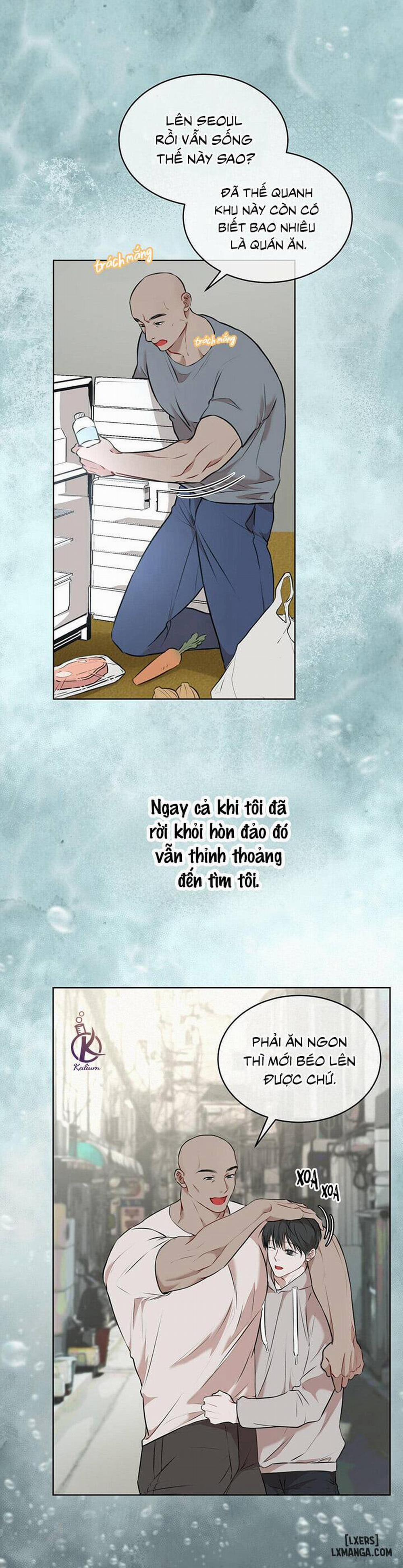 Hình thái khởi sinh 23 trang 9