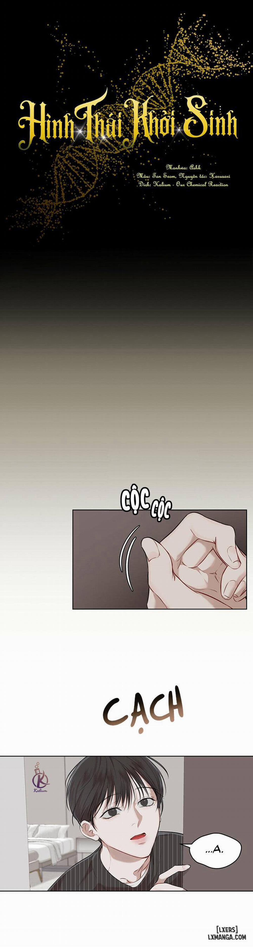 Hình thái khởi sinh 24 trang 10