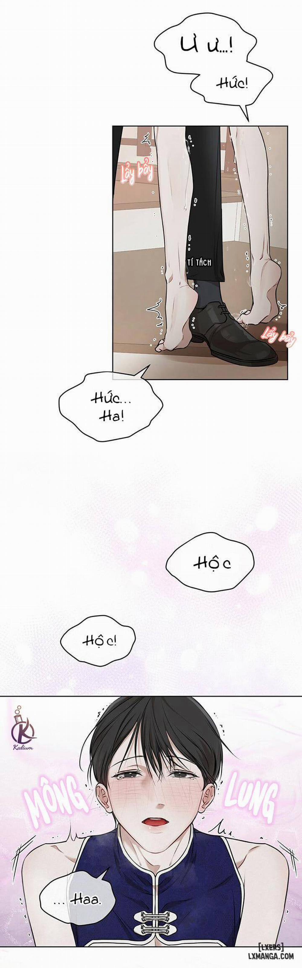 Hình thái khởi sinh 26 trang 11