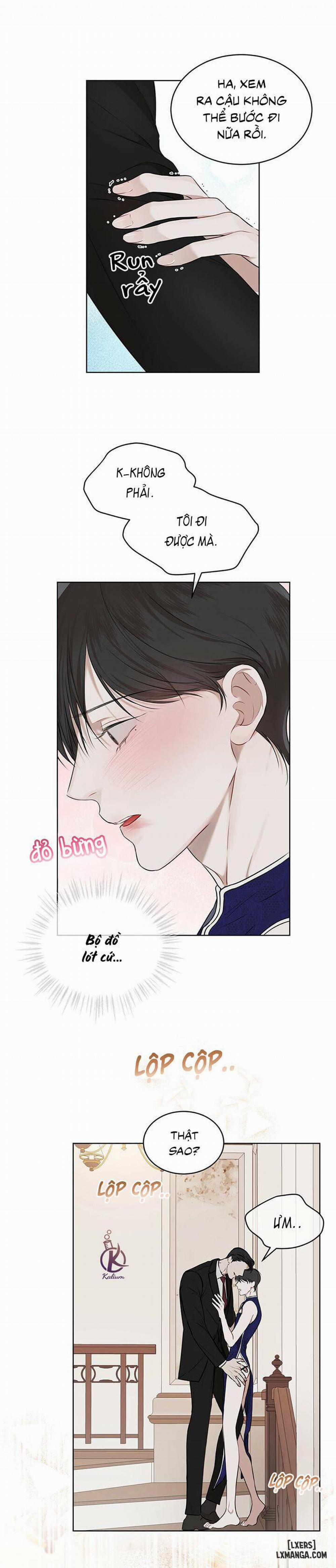 Hình thái khởi sinh 26 trang 4