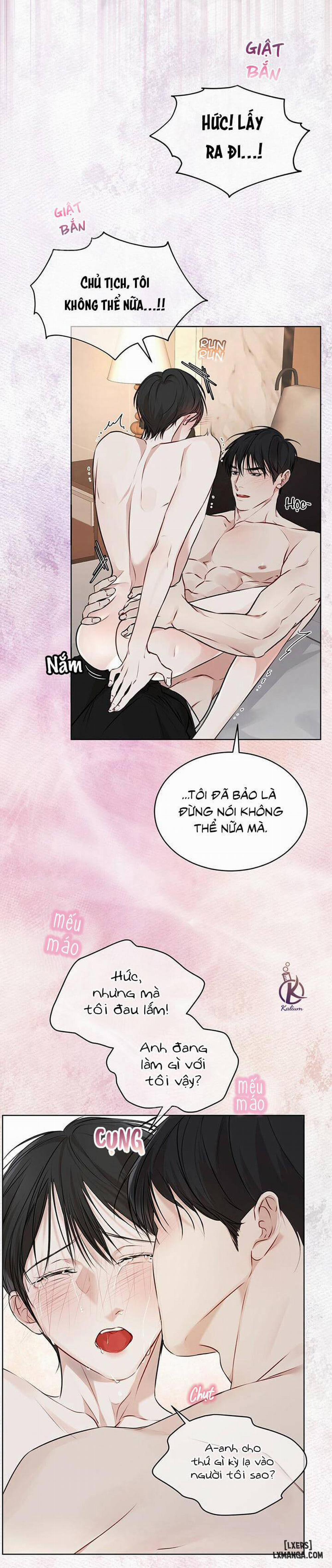 Hình thái khởi sinh 27 trang 17