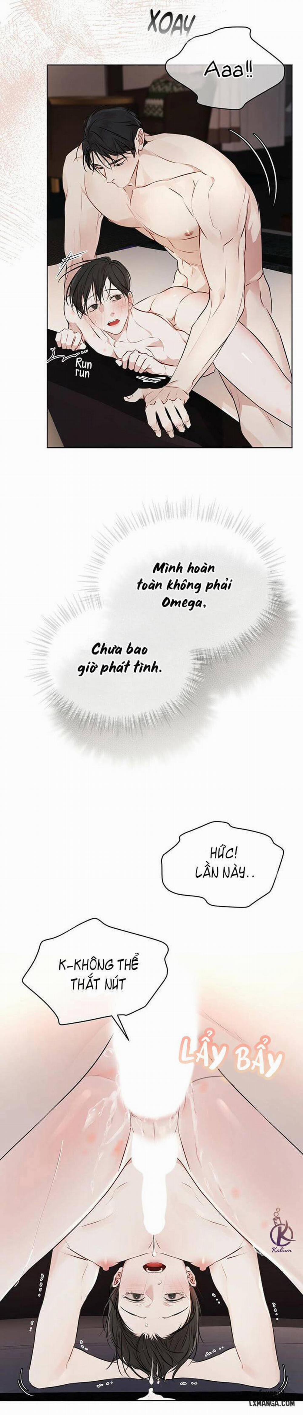 Hình thái khởi sinh 27 trang 26