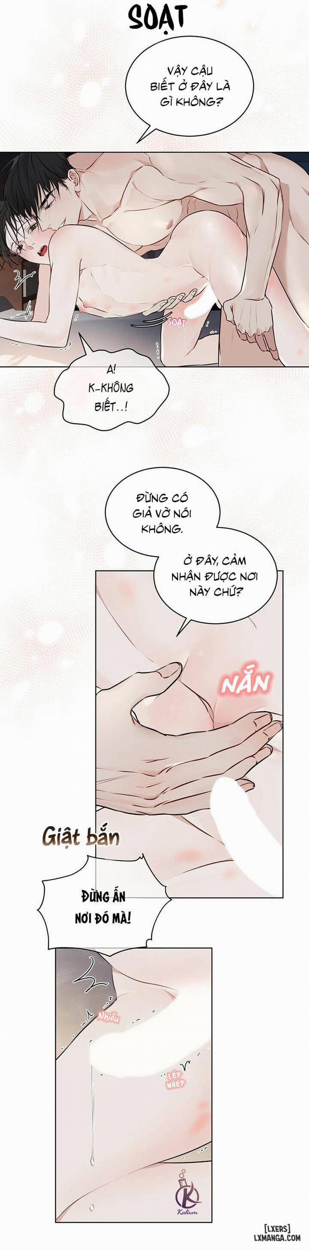 Hình thái khởi sinh 27 trang 28