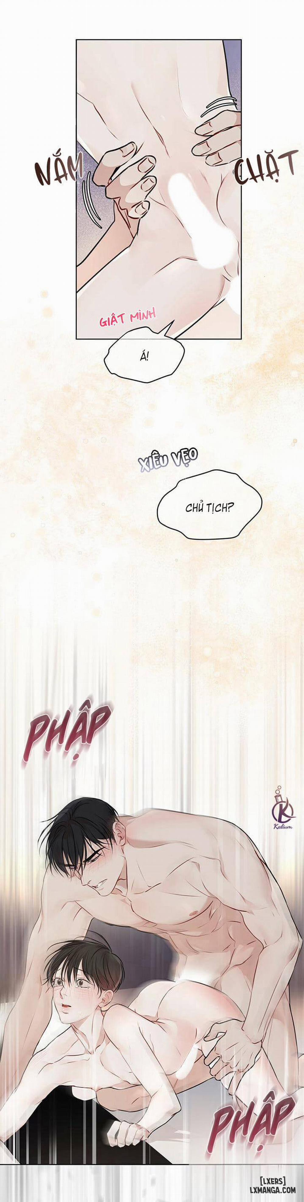 Hình thái khởi sinh 27 trang 31